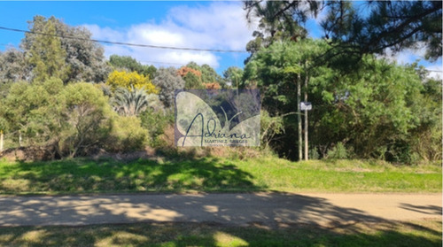 Terreno De Gran Tamaño A Sólo 1 Cuadra De La Playa Y Del Arroyo