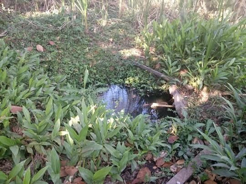 Imagem 15 de 19 de Chácara À Venda Em Pedra Bela/sp - 0071