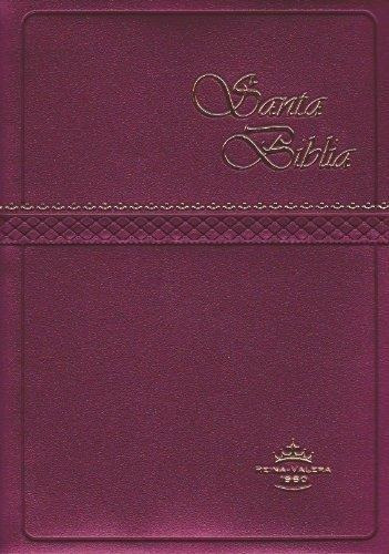Biblia Rvr60 Bolsillo Vinil Con Concordancia, Color Vino., De Rv1960. Editorial Sociedad Bíblica De México En Español