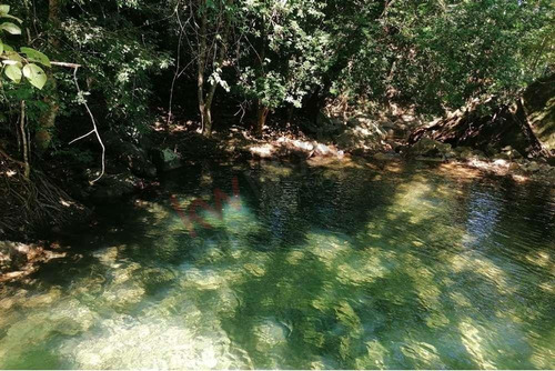 Imagen 8 de 14 de Terrenos En Venta A 15min De Valle De Bravo - Buen Precio