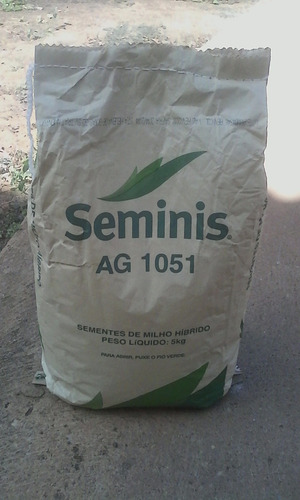 Milho Ag1051 -seminis - 5kg Milho Doce Ideal Para Pamonha