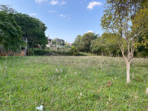 Chácara 1.500 M² - Palermo - Gravataí - Rs - 2413 - 68318087