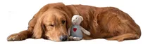 Comprar Manta Protectora Para Mascotas, Cama Lavable, 29.5x47.2in