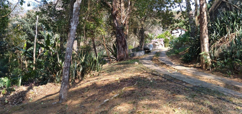 Imagem 9 de 15 de Lote / Terreno Em Nogueira - Petrópolis - 5008