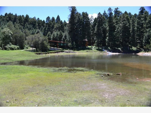 Imagen 12 de 12 de Terreno En Venta Mineral Del Monte Centro