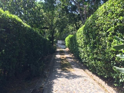 Imagen 3 de 30 de Finca En Venta San Jeronimo, Antioquia