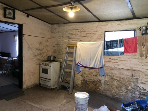 Imagen 12 de 28 de Casa Quinta En Brandsen, Importante Parque Y Arboleda!!!