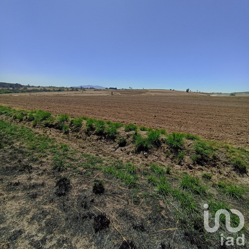 Venta Terreno 0 Ambiente Jacal De La Piedad