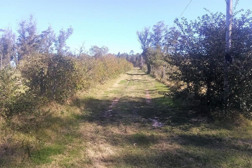 Chacra En Piriápolis