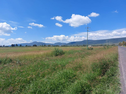 Imagen 1 de 4 de Terreno En Venta En Atongo De 20 Hectareas