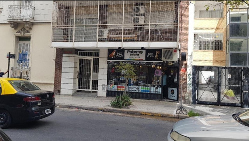 Imagen 2 de 11 de Local En Subsuelo Bulnes Al 1400