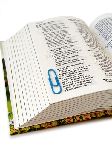 Imagen 4 de 7 de Biblia Para Niños Amigos Por Siempre Naranja Lenguaje Actual