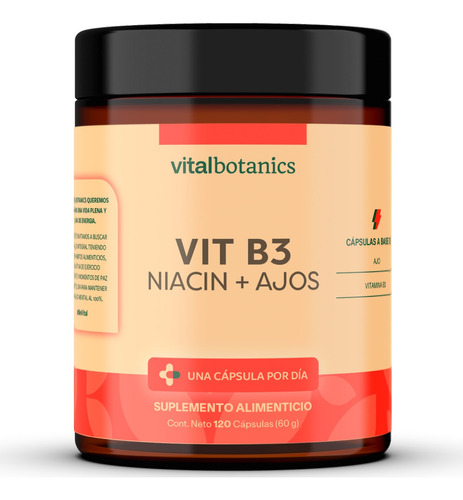 Vitalbotanics Niacina Vitamina B3 Con 120 Capsulas De 500mg