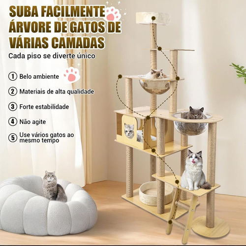 Arranhador Torre De Gato Grande Com Capsula E Brinquedo Casa