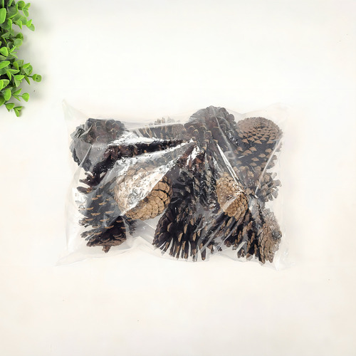 Pinha Natural Marrom Impermeabilizada - Kit 10un