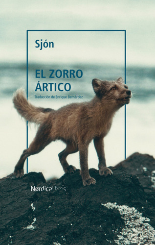 El Zorro Artico Ne - Sjon