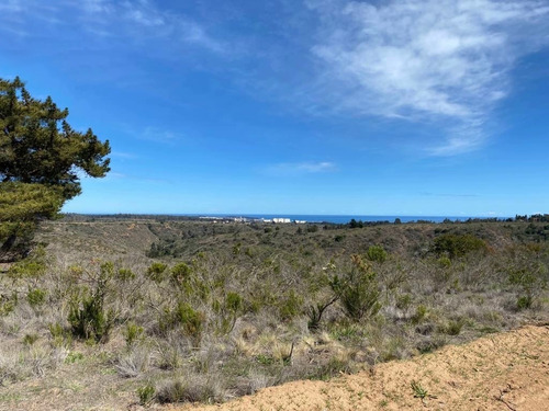 Algarrobo Inversión, 5 Hectáreas A 10 Min Playa Crédito