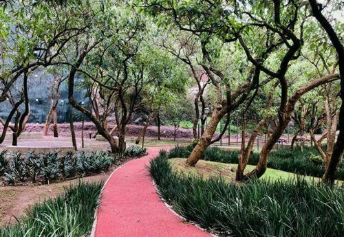 Imagen 23 de 23 de Conjunto Maranta Bosques