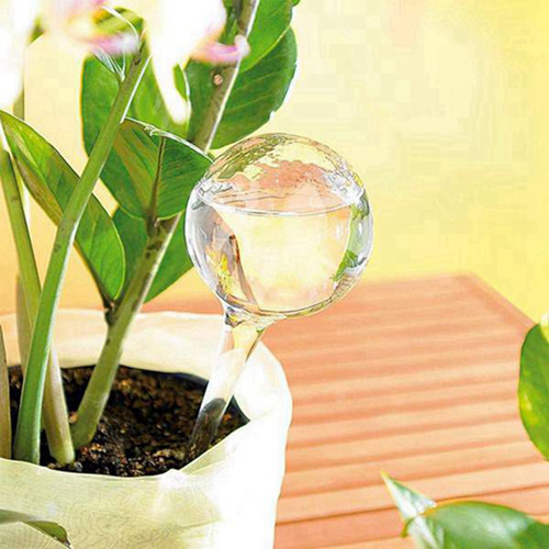 Dispositivo De Riego Automático, 10 Unidades, Globos, Planta