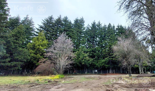 Terreno En Venta En Barrio Cerrado Bariloche Yacht Club Costa De Lago