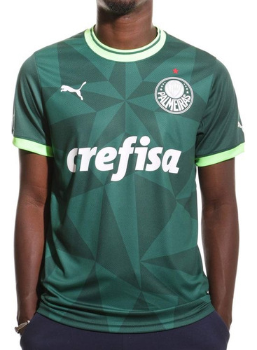 Camiseta Palmeiras 2023 Piquerez