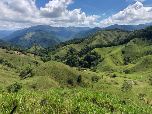 Vendo Finca San Luis Antioquia 147 Hectareas Frente Autopista 