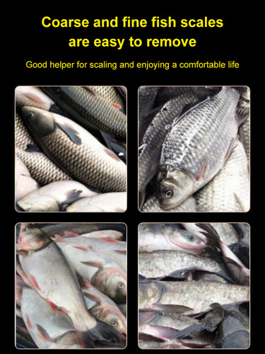 Raspador De Pescado Doméstico De Acero Inoxidable, Escalador