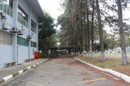 Imagem 22 de 30 de Galpão No Bairro Jordanópolis - São Bernardo Do Campo/sp - 2244