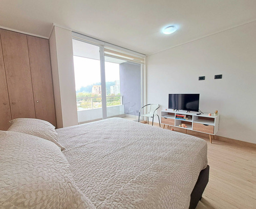 Estupendo Home-studio Amoblado, Centro Ccp. (93046)