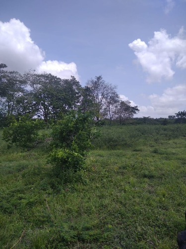 Imagen 17 de 17 de Venta 199 Hectáreas - Para Cultivo Y Ganado