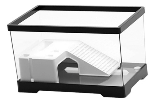 Tanque Para Tortugas De Agua Con Área De Negro Medio