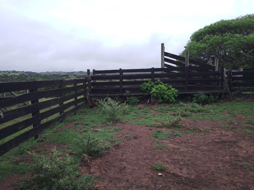 Campo De 153 Hectáreas En Maldonado