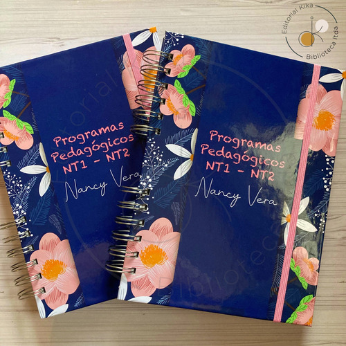 Programas Pedagógicos Nt1-nt2