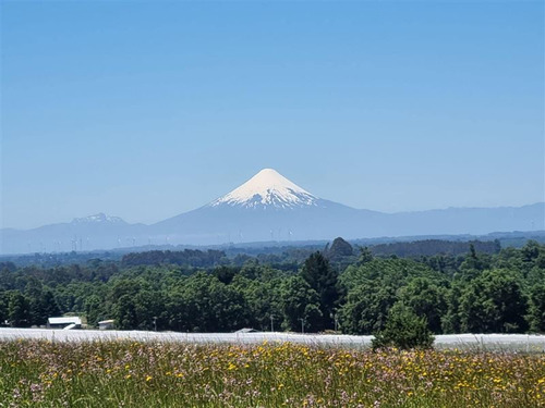 Parcela En Venta En Frutillar