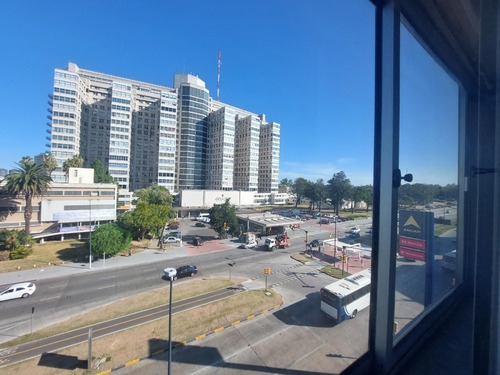 Imagen 19 de 25 de Alquilo Apartamento Parque Batlle 3 Dormitorios 2 Baños