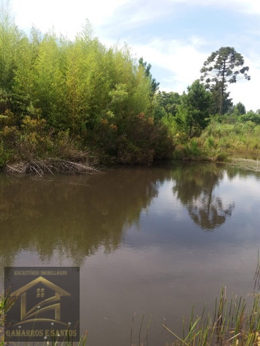 Imagem 7 de 11 de Terreno Com 2.500m² Em Quatro Barras - Te00022 - 33357972