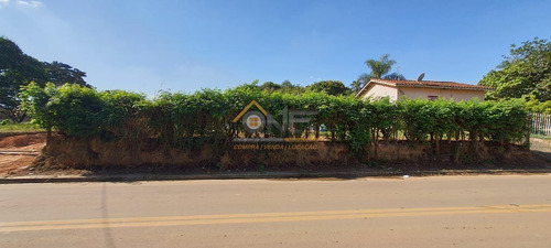 Imagem 7 de 8 de Terreno - Te00368 - 69583420