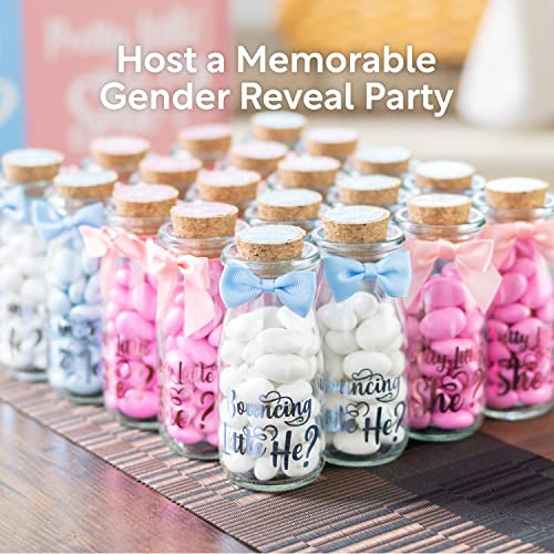 Recuerdos De Fiesta De Revelación De Género Invitados...