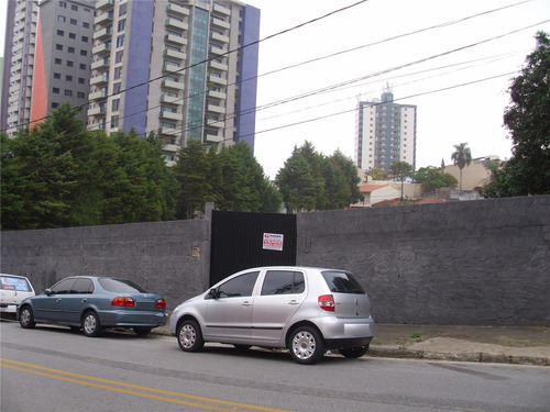 Terreno Para Aluguel, Valparaíso - Santo André/sp - 7033