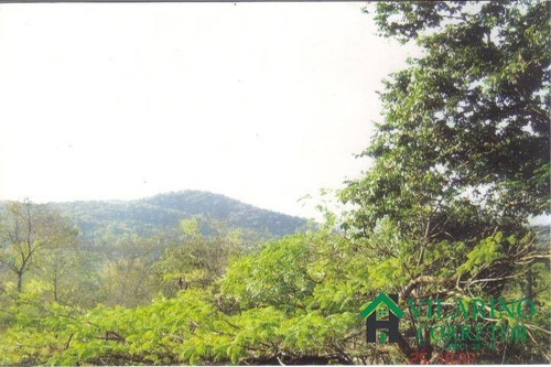 Imagem 14 de 15 de Vendo Sitio Em Betim Com Habite-se - 712v