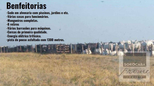 Imagem 6 de 10 de Fazenda Bodoquena À Venda - Corumbá/ms - Fa0029