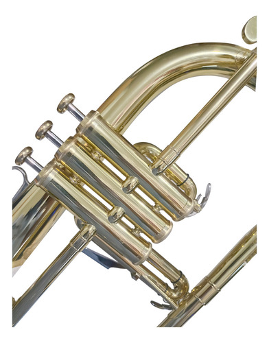 Trompeta Blessing 6419l-1 Sib Color Laqueado Con Acabado Laqueado Incluye Estuche