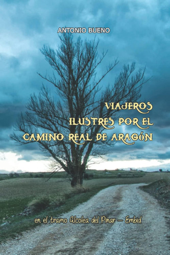 Libro: Viajeros Ilustres Por El Camino Real De Aragón, En El