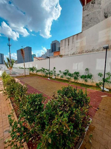 Imagem 13 de 14 de Apartamento De 1 Dormitório No Liberdade Oportunidade
