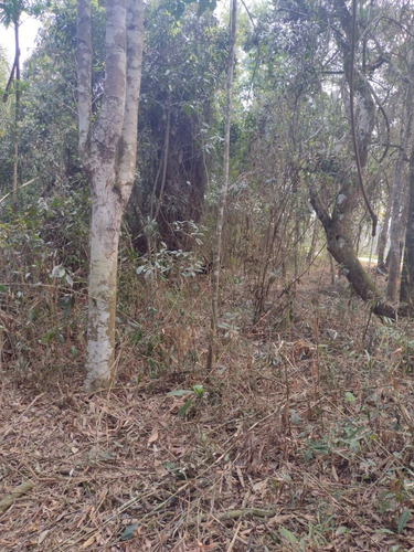 Imagem 8 de 14 de D20- Lotes Em Santa Isabel 1.000m2 Apenas 60mil A Vista
