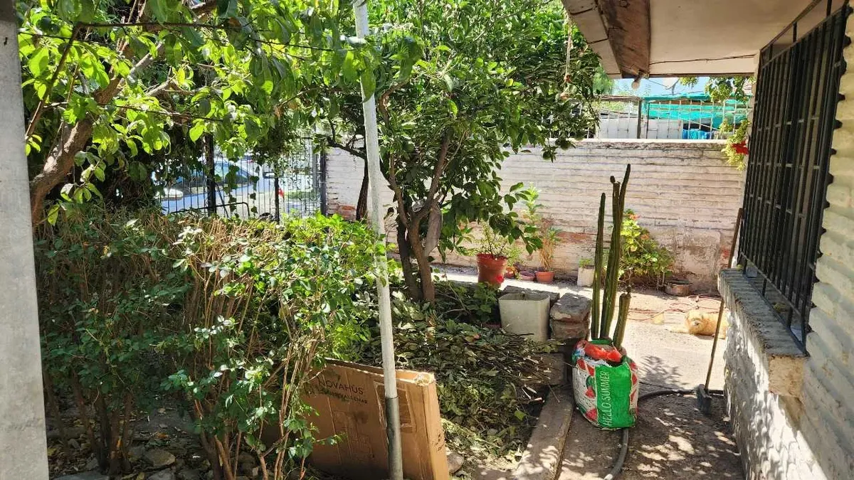 Imagen 4 de 23 de Se Vende Propiedad En Avenida Principal (96195)