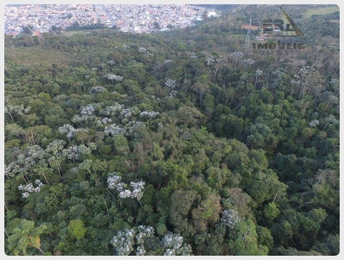 Imagem 3 de 13 de Área Industrial À Venda, Portão, Arujá - Ar0018. - Ar0018