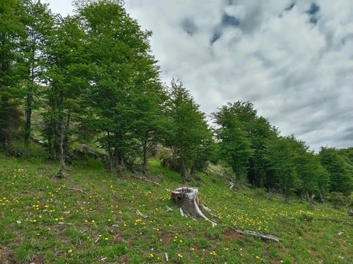 Venta De Terreno En Lago Pólux, Coyhaique (172833)