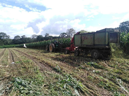 Imagen 23 de 29 de Finca Ganadera Y Agricola En Venta En Bejuma, Edo Carabobo 04121994409