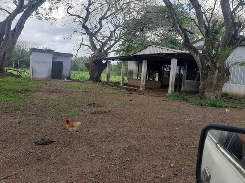 Vendo Finca En Bayaguana De 4,995 Tareas Tiene Mucha Agua Le Bordea El Rio Yavacao